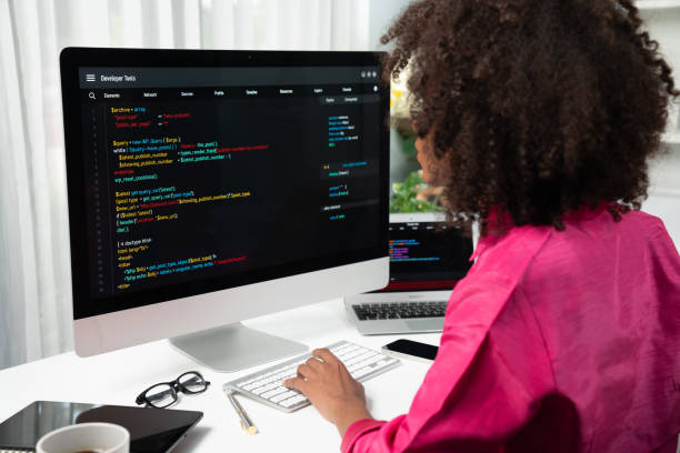 Developer integrating piaxis API